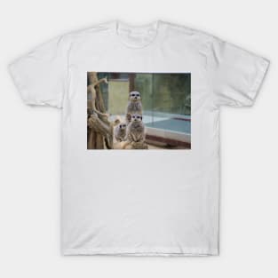 Teamwork of Meerkats T-Shirt